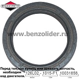 291675S Сальник Briggs & Stratton