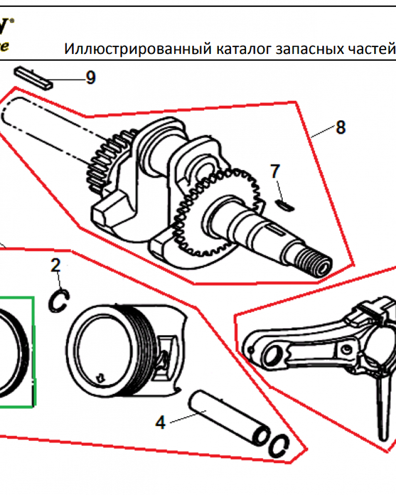 11 ПОРШЕНЬ -ЦИЛИНДР -КОЛЕНВАЛ- КОЛЬЦА | СНЕГОУБОРЩИК CHAMPION ST556 |Запчасти по России | СПБ