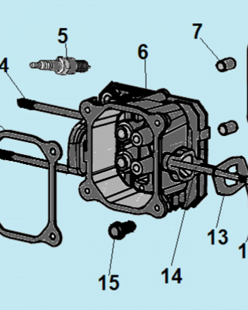 6 КАРБЮРАТОР - ГОЛОВКА БЛОКА Газонокосилка CHAMPION LMH5629  | Ремонт | Запчасти | в СПБ