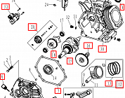 4 | ПОРШЕНЬ  -  КОЛЬЦА - КОЛЕНВАЛ | Запчасти для мотопомпы чемпион | GTP101E после 2021 года | (после s/n 23072100121)