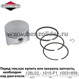 Поршень Briggs & Stratton 493262