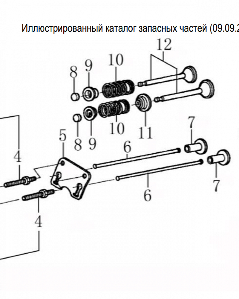 10 КЛАПАНА | СНЕГОУБОРЩИК CHAMPION ST655 |Запчасти по России | СПБ