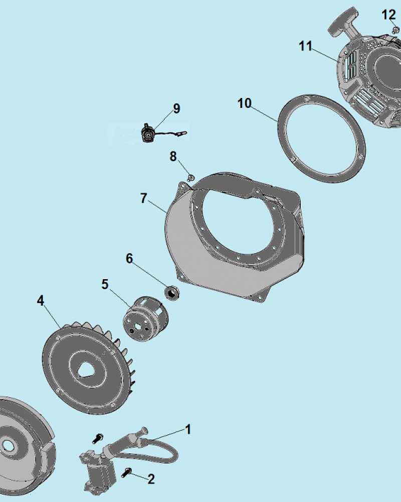 8 СТАРТЕР - МАГНЕТО - МАХОВИК МОТОПОМПА CHAMPION GP55  | ремонт | в СПБ