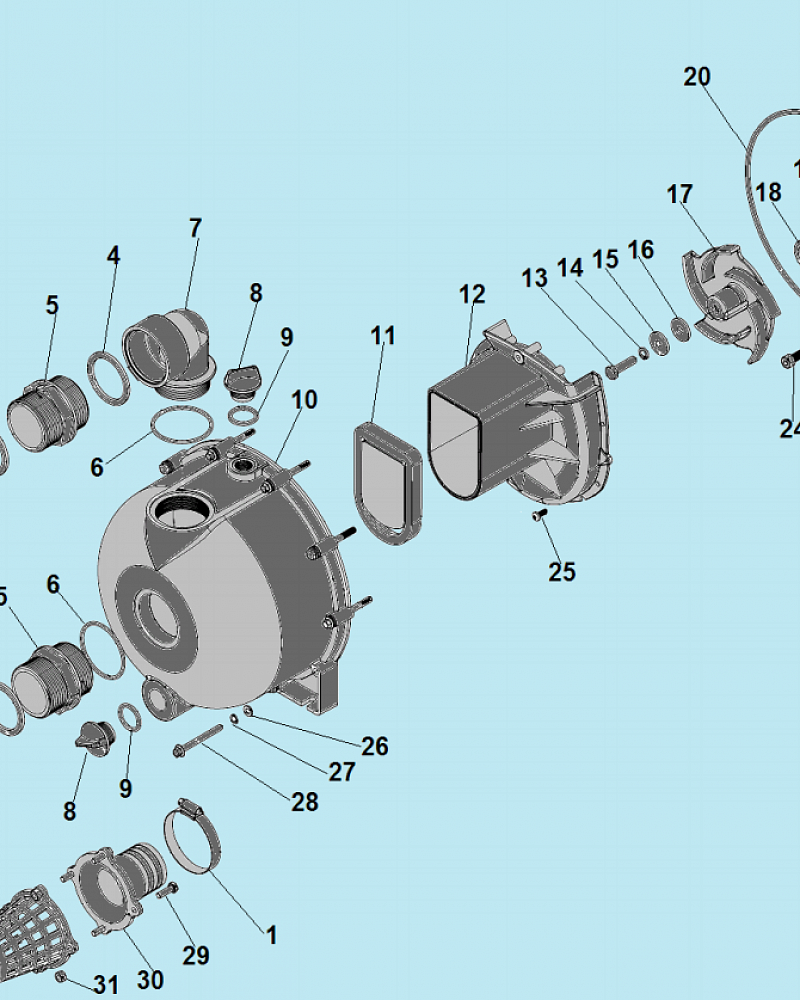 2 КОРПУС - УЛИТКА -САЛЬНИК - КРЫЛЬЧАТКА МОТОПОМПА CHAMPION GP55  | ремонт | в СПБ