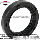 710000 Сальник Briggs & Stratton