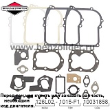 495605 Комплект уплотнительный Briggs & Stratton