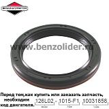 795387 Сальник Briggs & Stratton
