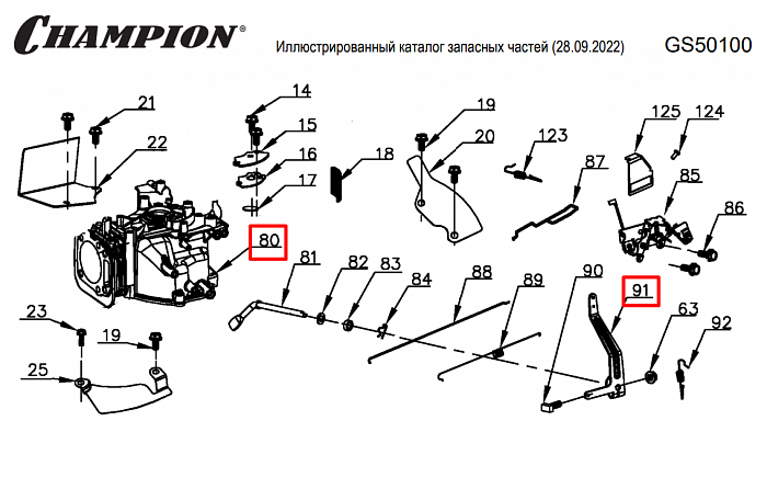 13 | ЦИЛИНДР | Запчасти для уборочной чемпион | GS50100 после 2021 года | после s/n 37022100001 |  