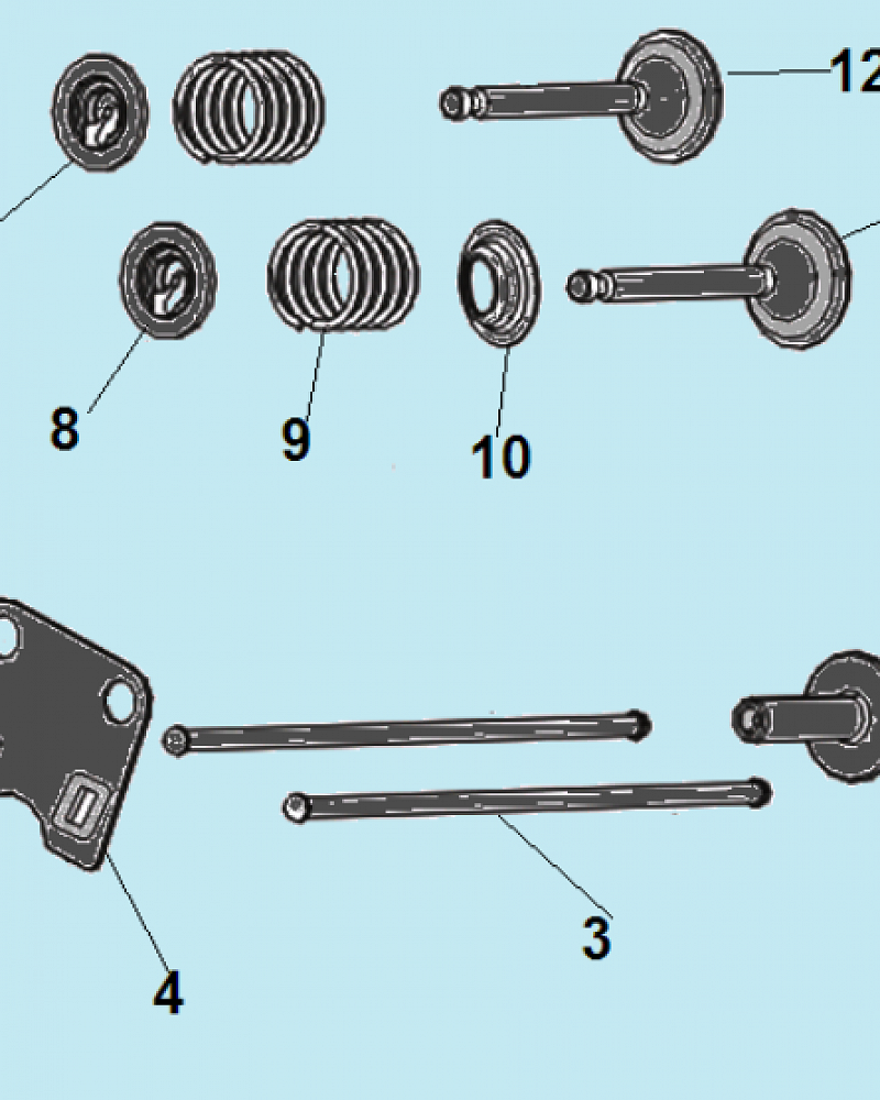 6 КЛАПАНА ИЗМЕЛЬЧИТЕЛЬ-ШРЕДЕР БЕНЗИНОВЫЙ CHAMPION SC6448  | ремонт | в СПБ