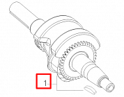 7 | КОЛЕНВАЛ | Запчасти для мотопомпы чемпион | GP52 после 2019 года  | после s/n 30181901293 | Поставка по России |