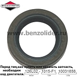 391483S Сальник Briggs & Stratton