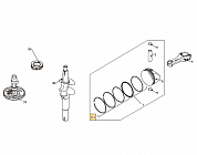 7 | ПОРШЕНЬ - КОЛЕНВАЛ - КОЛЬЦА | Запчасти для газонокосилки чемпион | LM4122 обновлена с 21.04.2022 года | начиная s/n 3304211000000 номера | Официальный Сервис  | Поставка запчастей по России