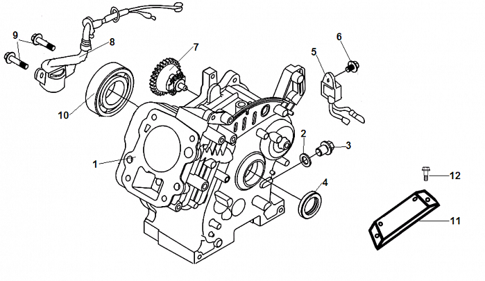 2 ЦИЛИНДР ВИБРОПЛИТА  CHAMPION PC5431F  | ремонт | в СПБ