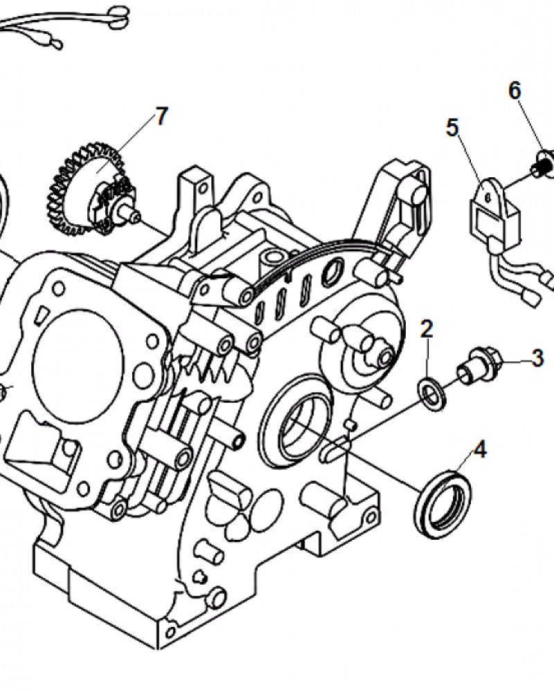 2 ЦИЛИНДР ВИБРОПЛИТА  CHAMPION PC5431F  | ремонт | в СПБ