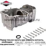Цилиндр  Briggs & Stratton 796010