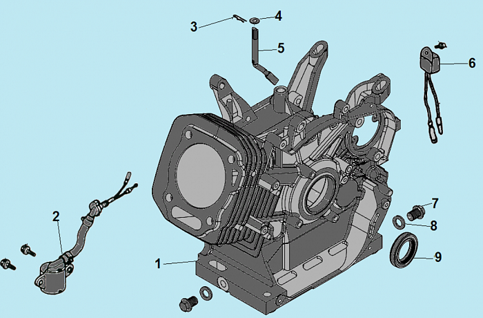 4 ЦИЛИНДР МОТОПОМПА CHAMPION GP100E  | ремонт | в СПБ